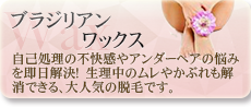 ブラジリアンワックス ブラジリアンワックス